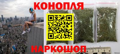 прущие грибы Лесосибирск