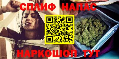 прущие грибы Лесосибирск