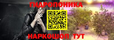 прущие грибы Лесосибирск