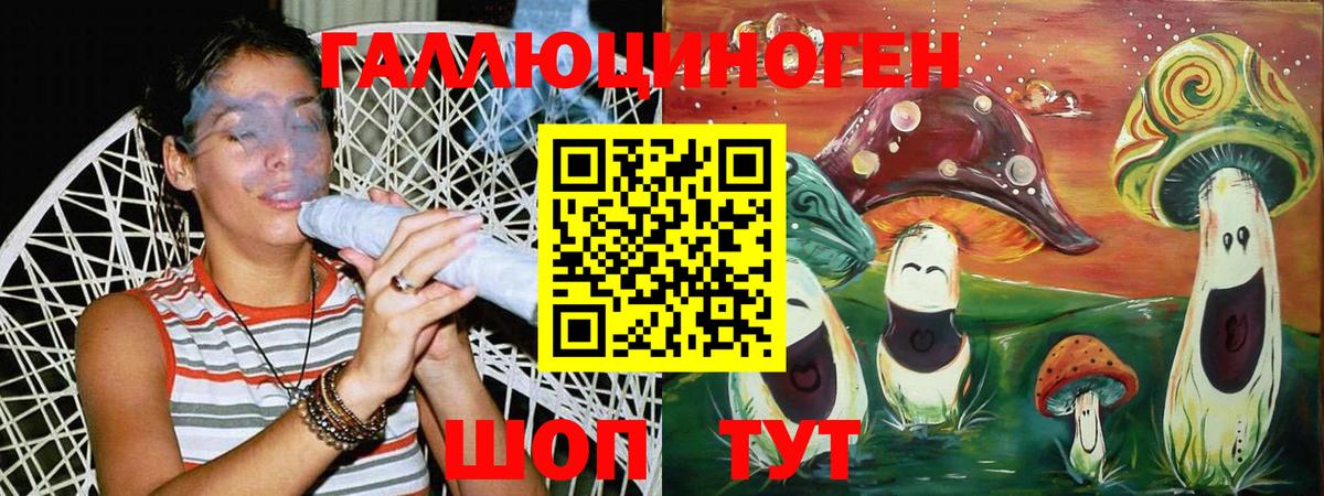 Псилоцибиновые грибы Psilocybe Великий Устюг