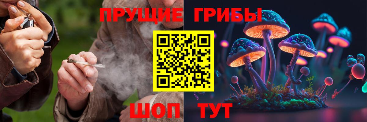 Великий Устюг  Галлюциногенные грибы GOLDEN TEACHER  Вход с VPN  Галлюциногенные грибы Psilocybe 